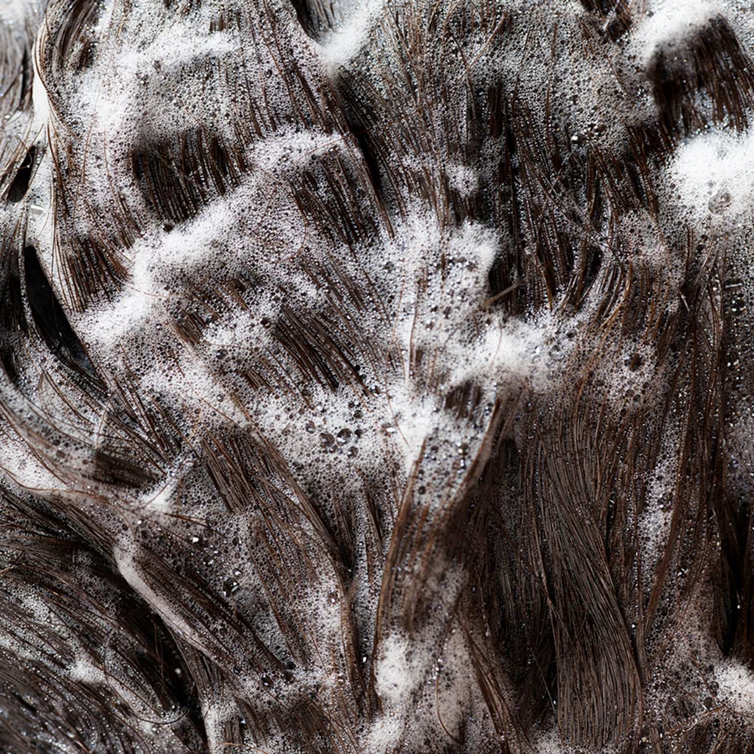 Signature Shampoo - Image 17