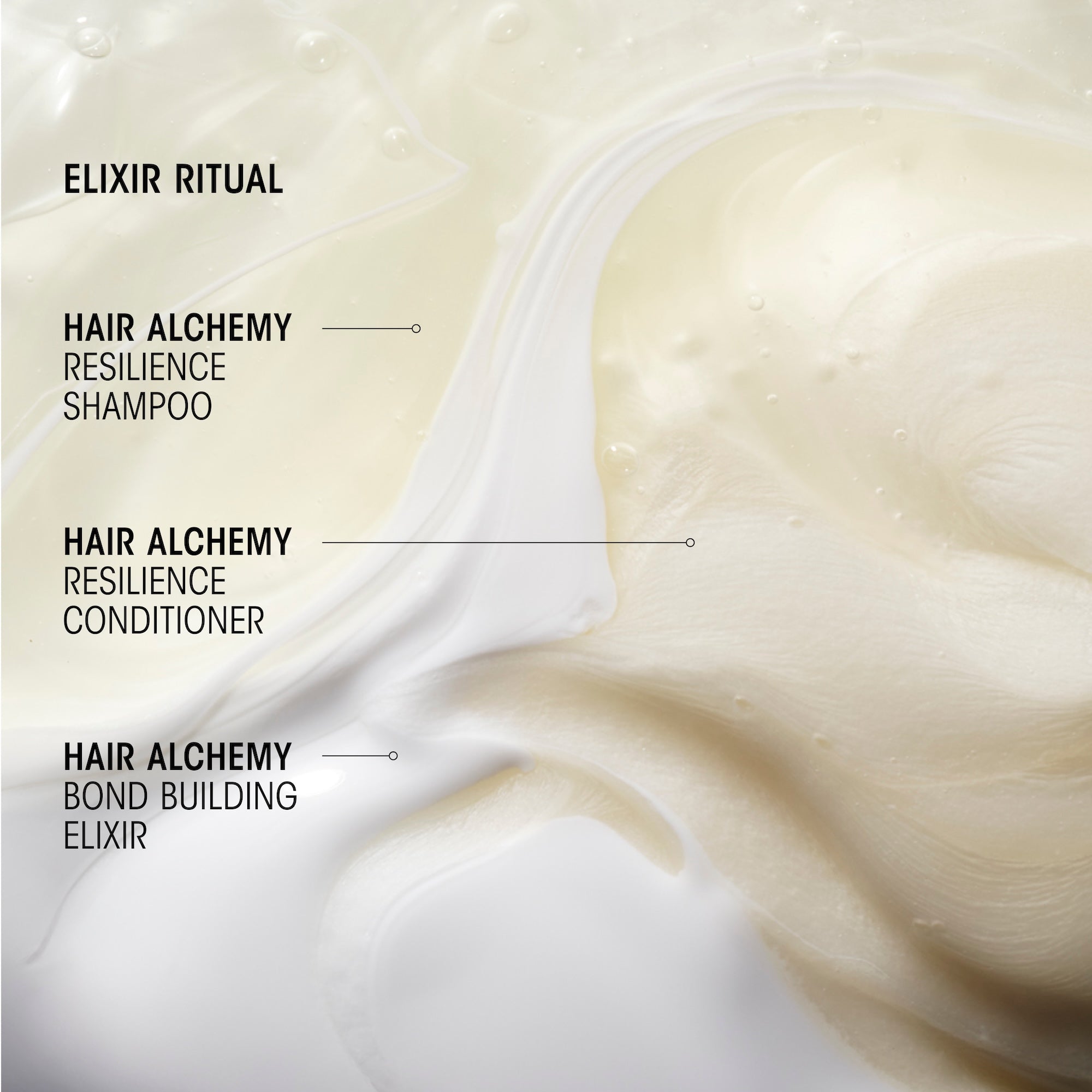 Hair Alchemy Resilience Shampoo - Image 2
